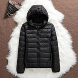 AURORA WINDPROOF JACKET