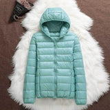 AURORA WINDPROOF JACKET