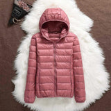 AURORA WINDPROOF JACKET