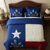 Texas Pride 3-Piece Quilted Bedding Set